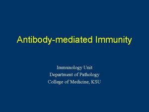 Antibodymediated Immunity Immunology Unit Department of Pathology College