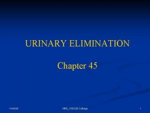 URINARY ELIMINATION Chapter 45 1132020 NRS105320 Collings 1