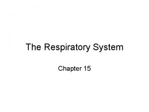 The Respiratory System Chapter 15 Function Brings oxygen