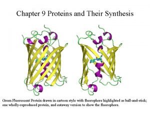 Chapter 9 Proteins and Their Synthesis Green Fluorescent