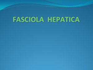 FASCIOLA HEPATICA FASCIOLA hepatica Disease Fascioliasis liver rot