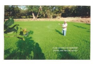 Agri chemicals projects in dadra & nagar haveli