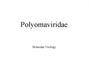 Polyomaviridae Molecular Virology Introduction Group Ids DNA virus