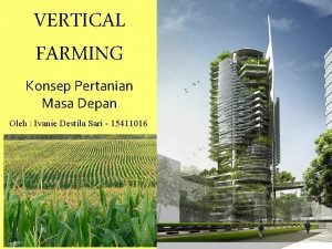 VERTICAL FARMING Konsep Pertanian Masa Depan Oleh Ivanie