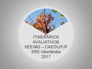 ITINERRIOS AVALIATIVOS SEEMG CAEDUFJF SRE Uberlndia 2017 ITINERRIOS