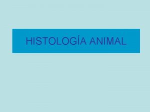 HISTOLOGA ANIMAL CLASIFICACIN DE TEJIDOS ANIMALES TEJIDOS CON