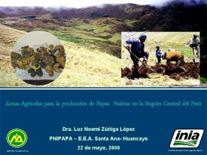 Zonas Agrcolas para la produccin de Papas Nativas