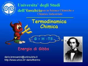 Universita degli Studi Corsi di Laurea in Scienze