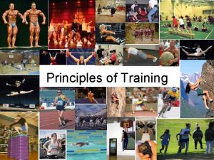 What are the training principles