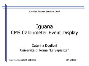 Summer Student Sessions 2007 Iguana CMS Calorimeter Event