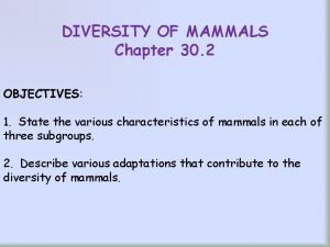 Chapter 30 section 2 diversity of mammals