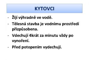 Kytovci zástupci