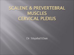 SCALENE PREVERTEBRAL MUSCLES CERVICAL PLEXUS Dr Mujahid Khan