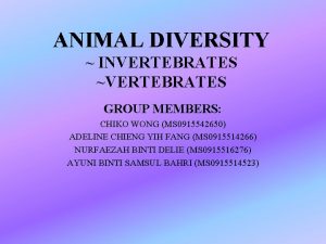 ANIMAL DIVERSITY INVERTEBRATES VERTEBRATES GROUP MEMBERS CHIKO WONG