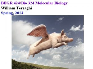 BEGR 424Bio 324 Molecular Biology William Terzaghi Spring