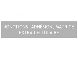 JONCTIONS ADHSION MATRICE EXTRA CELLULAIRE Plan I Jonctions