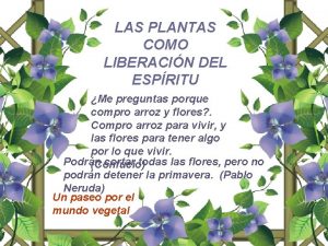 LAS PLANTAS COMO LIBERACIN DEL ESPRITU Me preguntas