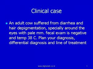 Clinical case n An adult cow suffered from