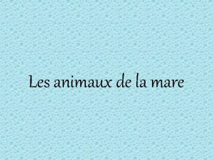 Les animaux de la mare Plan 1 Les