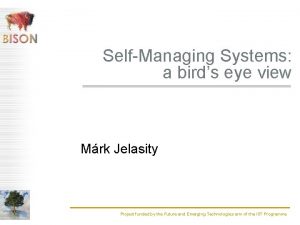 SelfManaging Systems a birds eye view Mrk Jelasity