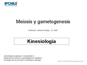 Que es gametogenesis