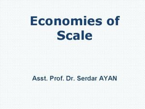 Risk bearing economies of scale