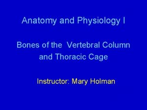 What are vertebrochondral ribs