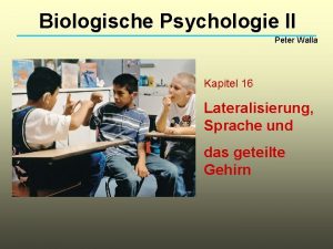 Biologische Psychologie II Peter Walla Kapitel 16 Lateralisierung