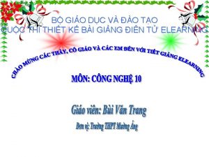 Trồng cây thành băng dải Trồng cây thành băng dải