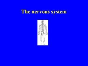 The nervous system is made up of