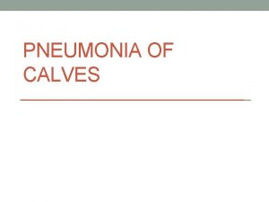 PNEUMONIA OF CALVES Definition it is multifactorial respiratory