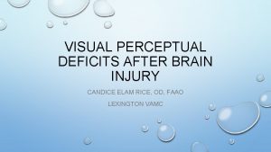 VISUAL PERCEPTUAL DEFICITS AFTER BRAIN INJURY CANDICE ELAM