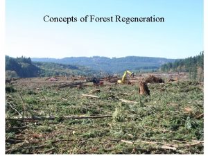 Concepts of Forest Regeneration Regeneration vs Reproduction Regeneration