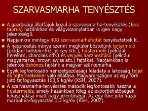 SZARVASMARHA TENYSZTS n n n A gazdasgi llatfajok