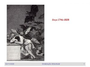 Goya 1746 1828 02112020 Sinalizao intracelular 1 Sinalizao
