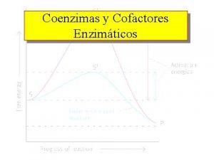 Coenzimas y Cofactores Enzimticos ENZIMAS Y COENZIMAS La