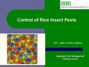 Control of Rice Insect Pests G C Jahn