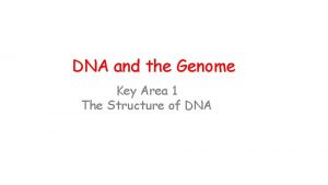 DNA and the Genome Key Area 1 The
