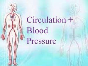 Circulation Blood Pressure 2 Major Types of Circulation