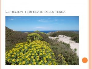 LE REGIONI TEMPERATE DELLA TERRA TANTE REGIONI DAL