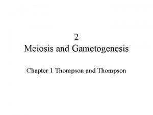 2 Meiosis and Gametogenesis Chapter 1 Thompson and