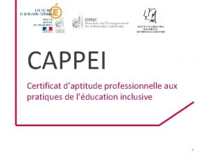 CAPPEI Certificat daptitude professionnelle aux pratiques de lducation