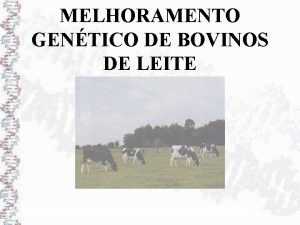 MELHORAMENTO GENTICO DE BOVINOS DE LEITE Unidade Melhoramento