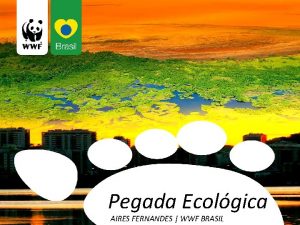 Pegada Ecolgica AIRES FERNANDES WWF BRASIL Uma Organizao