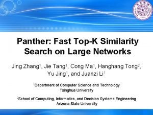 Panther Fast TopK Similarity Search on Large Networks