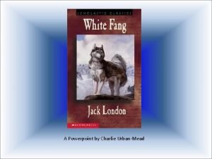 A Powerpoint by Charlie UrbanMead White Fang protagonist