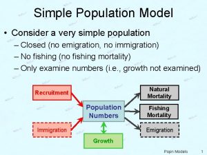 Simple Population Model Consider a very simple population