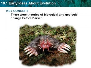 Section 1 early ideas about evolution