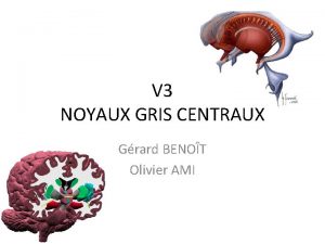 V 3 NOYAUX GRIS CENTRAUX Grard BENOT Olivier