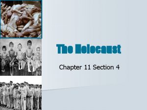How did the holocaust develop and what were its results?